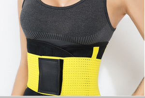 Women's Waist Trainer Belt, Back Brace for Lower Back Pain,Slimming Body  Shaper Belt, Waist Trimmer for Weight Loss (L) price in Saudi Arabia,  Saudi Arabia